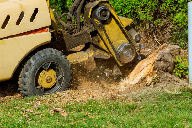 Lawn Drainage Solutions in The Woodlands, TX